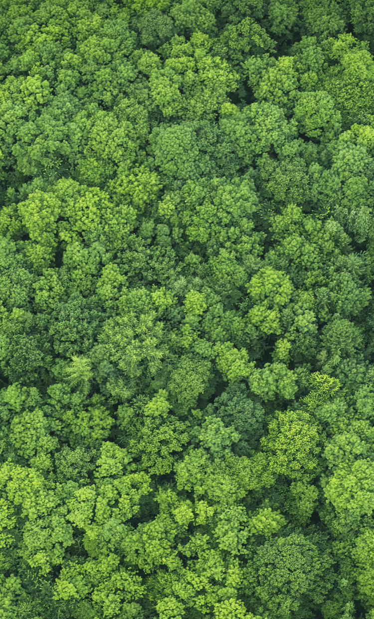 環(huán)境-環(huán)境保護與改善