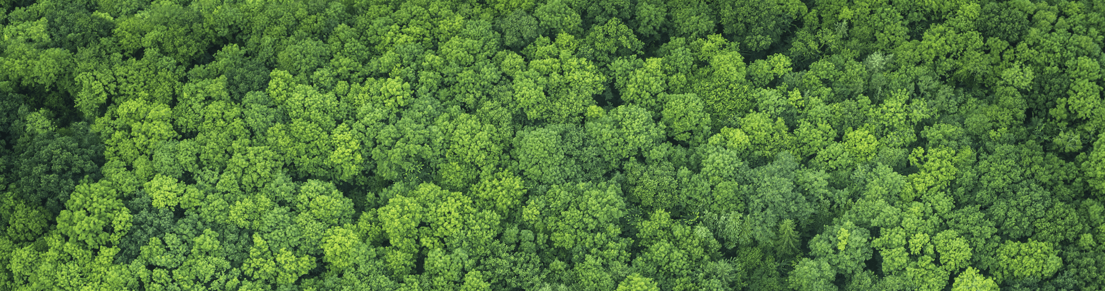 環(huán)境-環(huán)境保護與改善